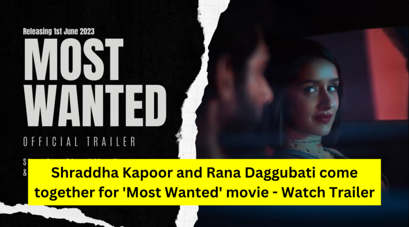 Most Wanted movie