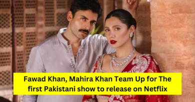 Pakistani show Netflix