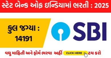 SBI Clerk Recruitment 2025 । સ્ટેટ બેન્ક ઓફ ઇન્ડિયામાં ભરતી